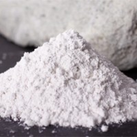 Reologic Modifier Organic Bentonite Clay For Synthetic Oil CP – EZ
