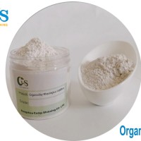 Organically modified clay as organoclay control of fluid loss