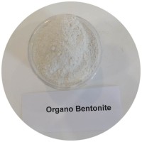 Organomodified clay used in water-borne system