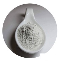 Organic Clay Powder | Organoclay For Paints Coatings
