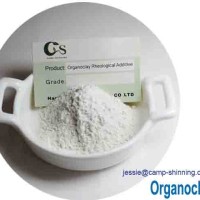 Water based rheology modifiers for waterborne paints