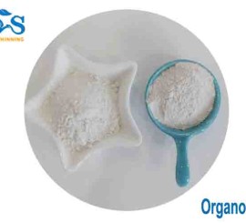 Is Clay Organic Or Inorganic | Organic clay