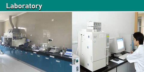 Organoclay for Paints