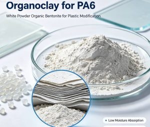 Organoclay for PA6